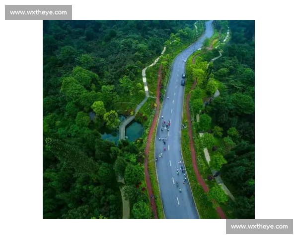 以体育发展为中心推动城市活力与全民健康深度融合提升行动研究